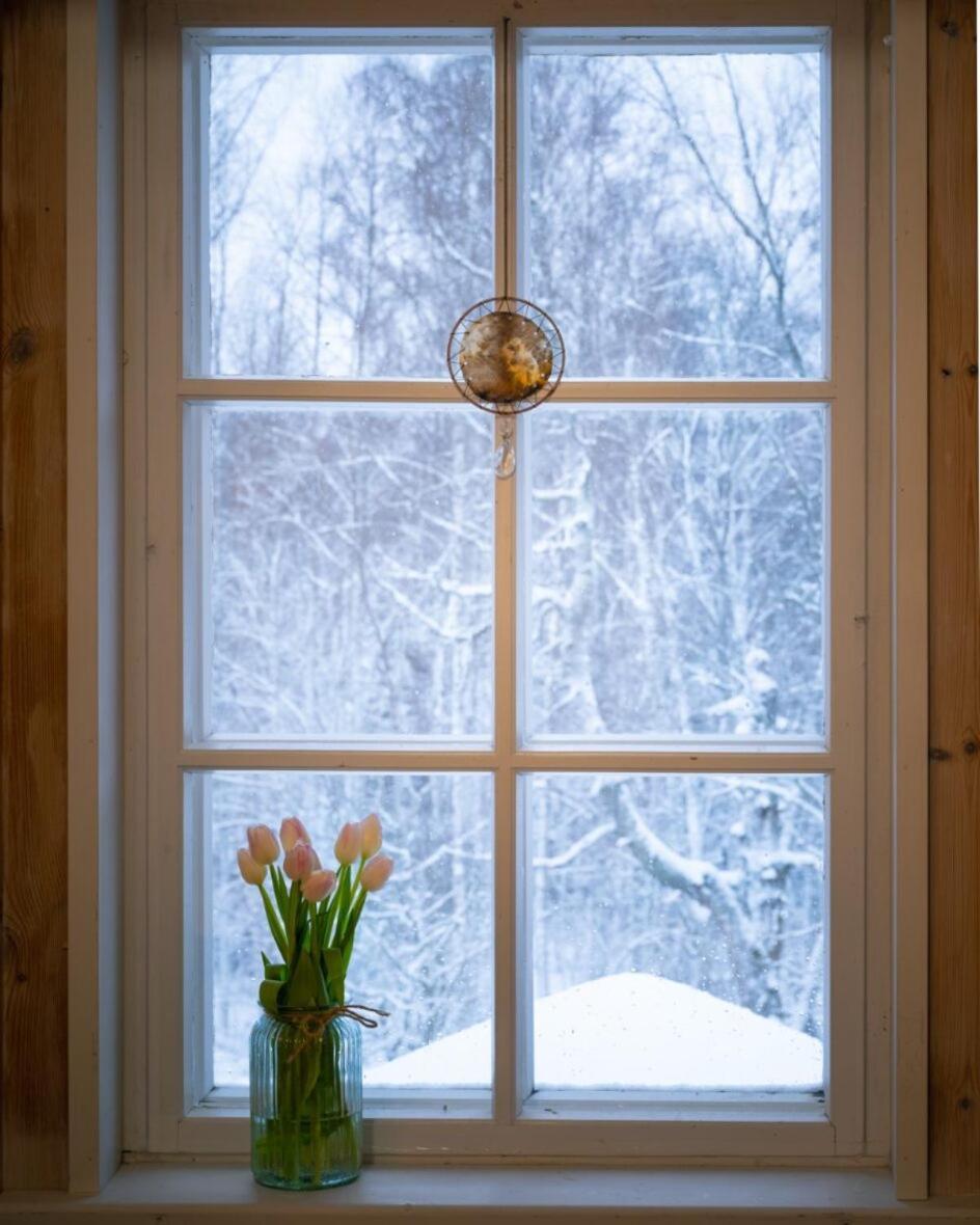 Kolin Mattila B&B Kolinkylä Kültér fotó