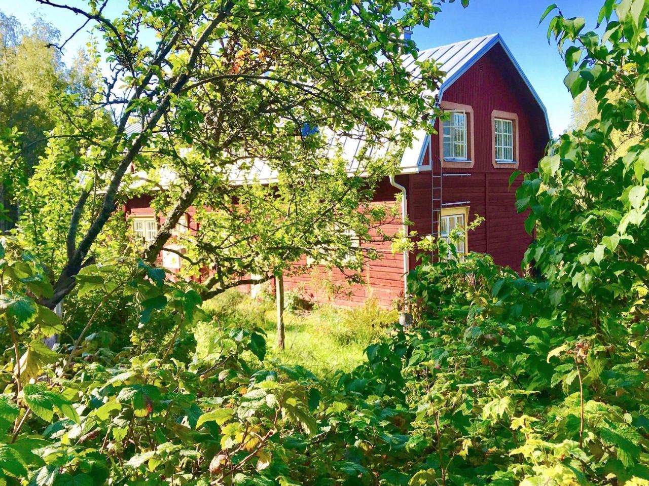 Kolin Mattila B&B Kolinkylä Kültér fotó