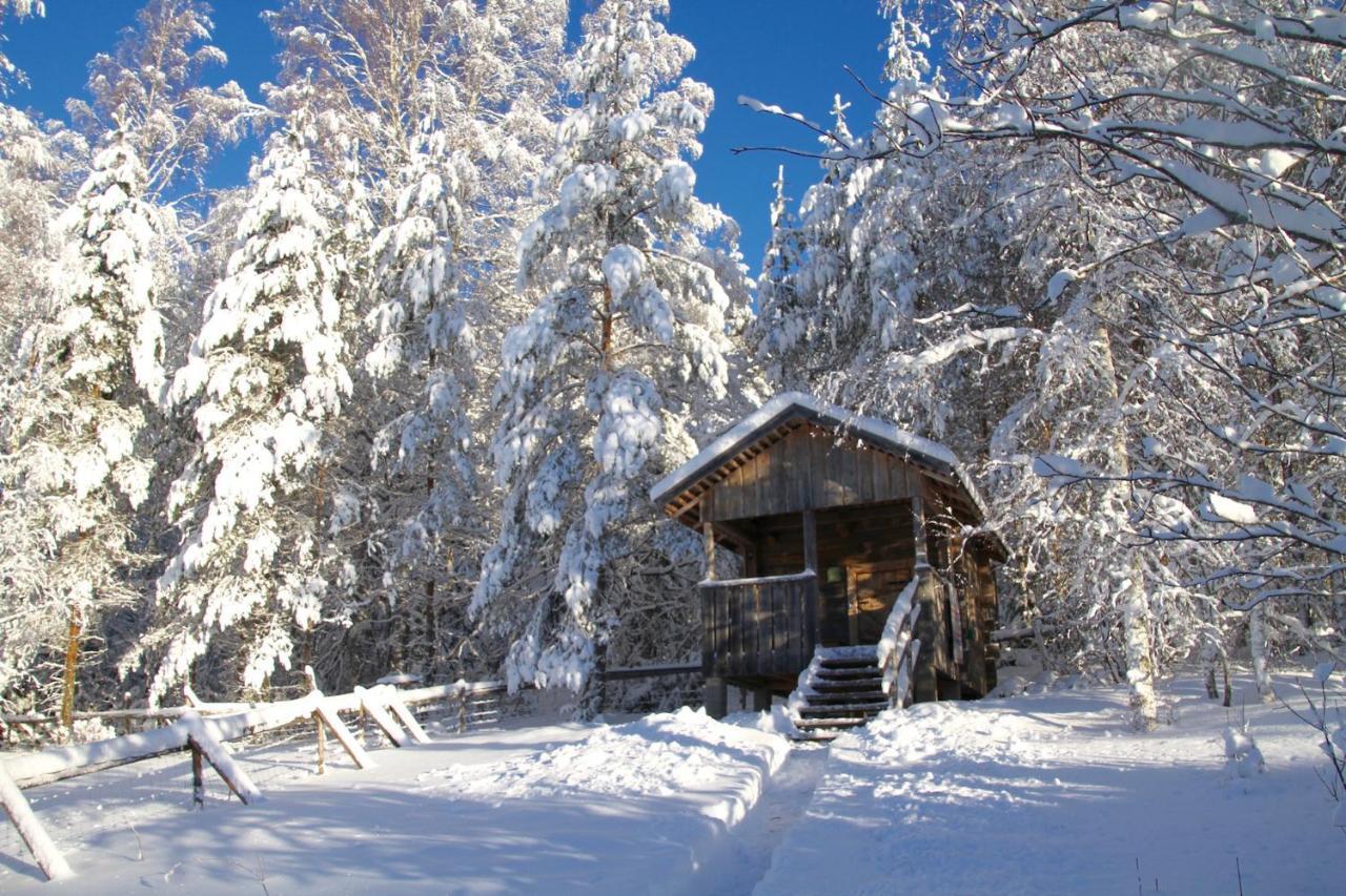 Kolin Mattila B&B Kolinkylä Kültér fotó