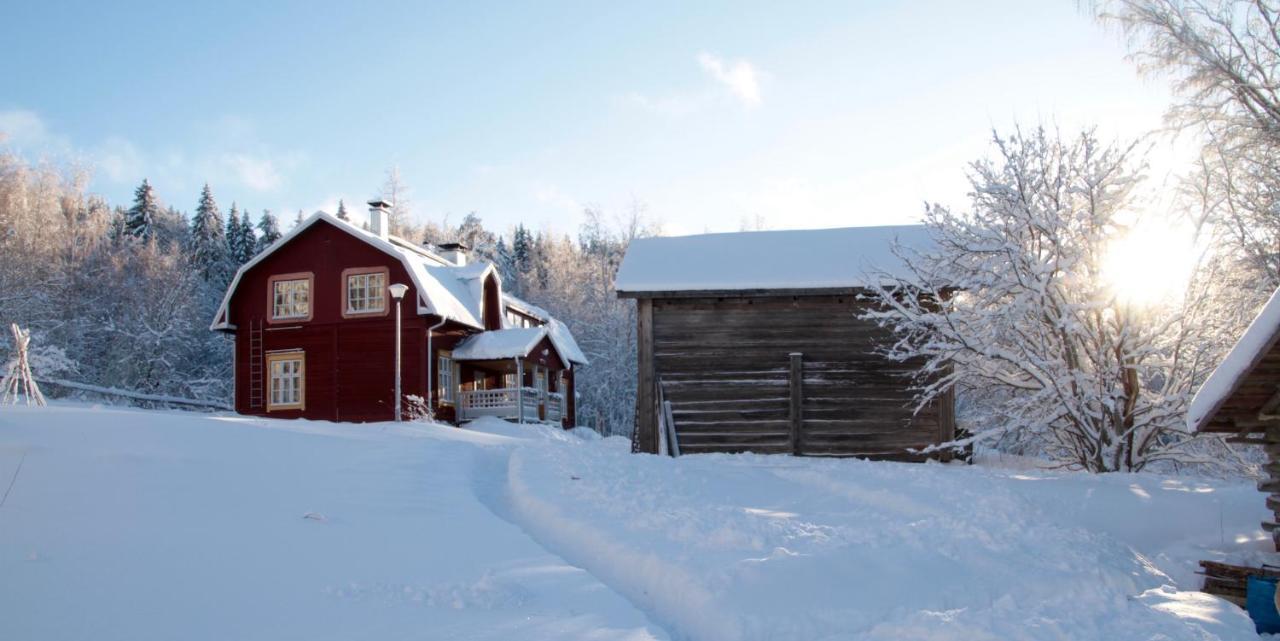 Kolin Mattila B&B Kolinkylä Kültér fotó